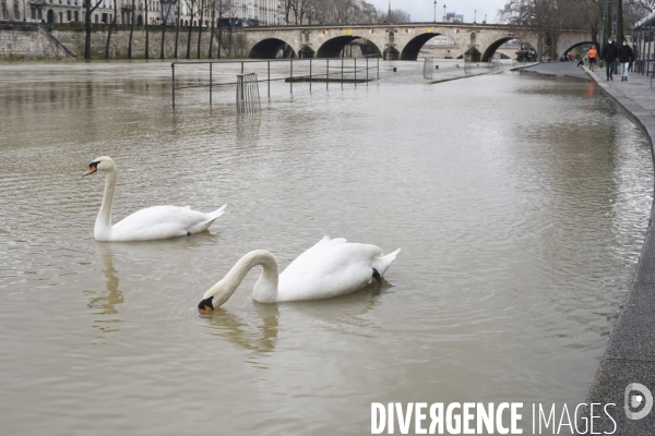 La Seine en crue.