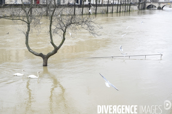 La Seine en crue.