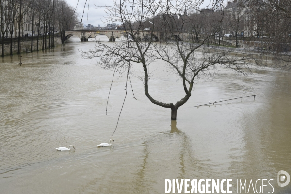 La Seine en crue.