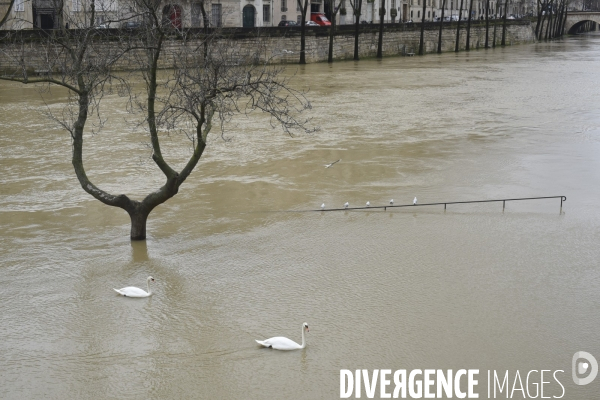 La Seine en crue.