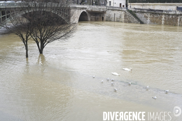 La Seine en crue.