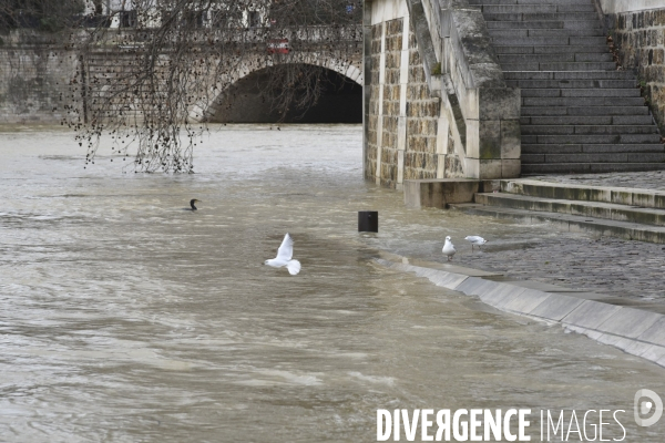 La Seine en crue.