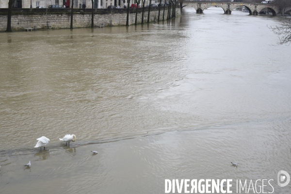 La Seine en crue.