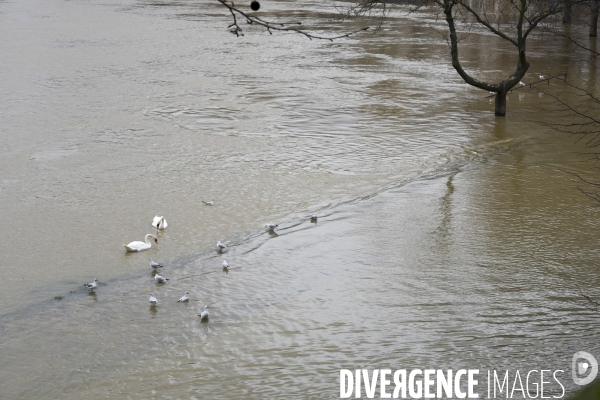 La Seine en crue.