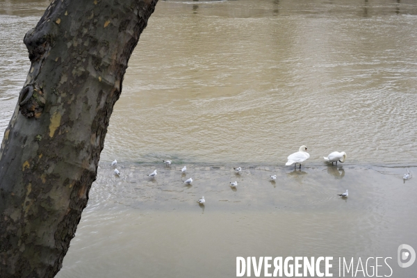 La Seine en crue.