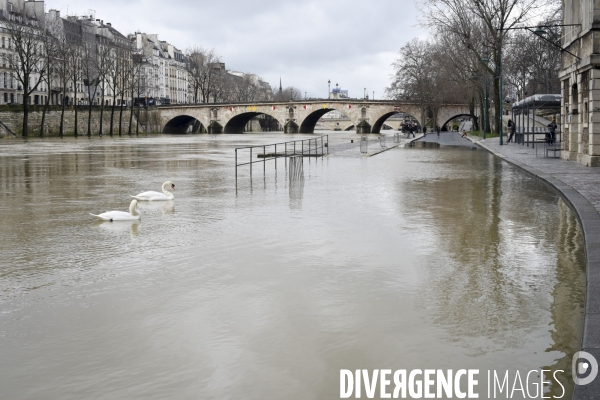 La Seine en crue.