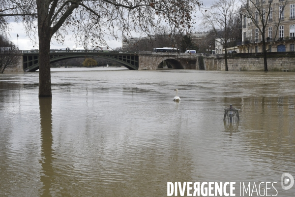 La Seine en crue.