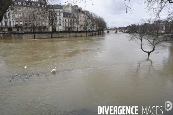 La Seine en crue.