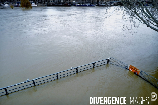 Crue de la seine