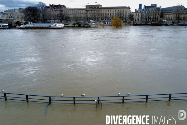 Crue de la seine