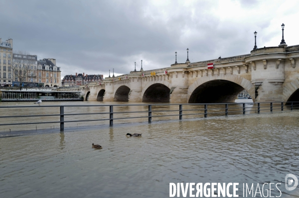 Crue de la seine