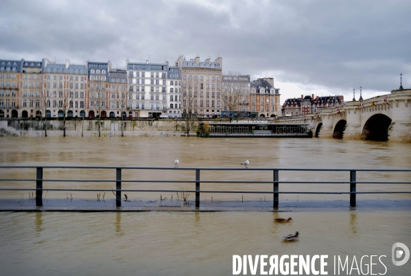 Crue de la seine