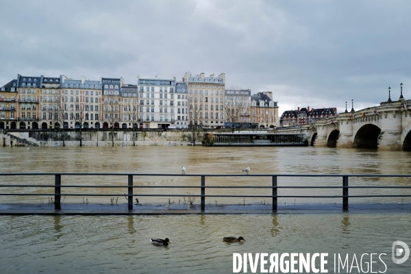 Crue de la seine