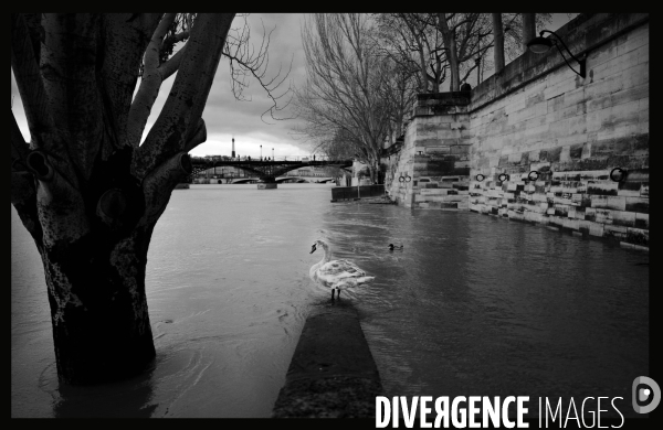 Crue de la seine