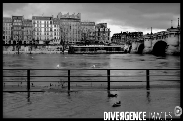 Crue de la seine