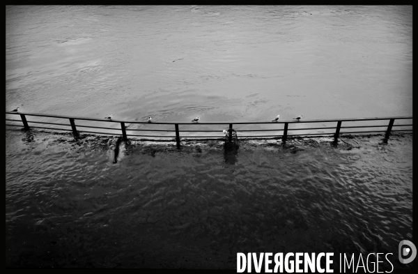 Crue de la seine