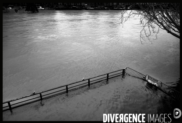 Crue de la seine