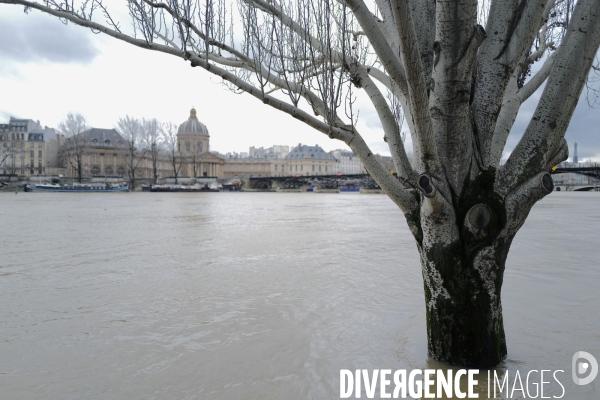 Crue de la seine