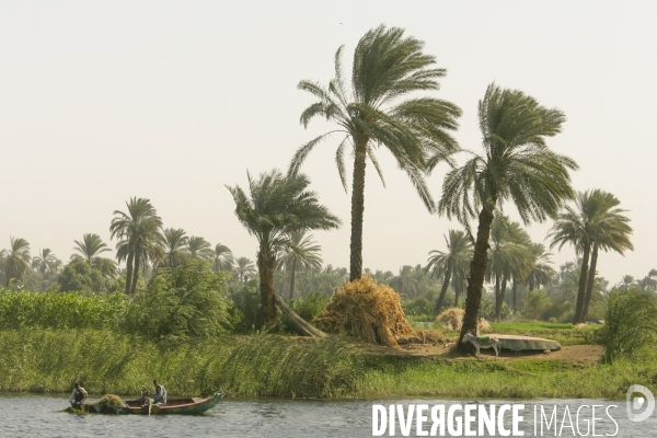 La vie sur les rives du nil/egypte