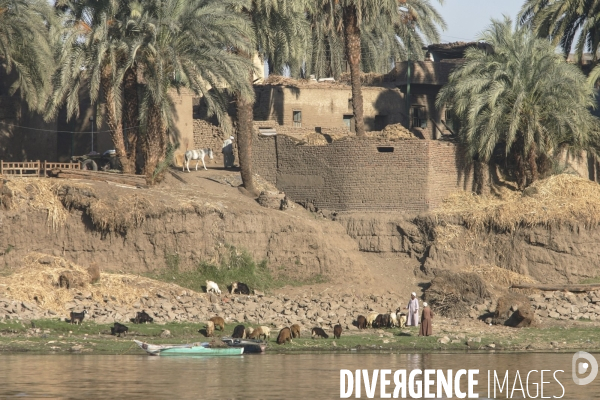 La vie sur les rives du nil/egypte