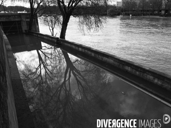 La Seine en crue.