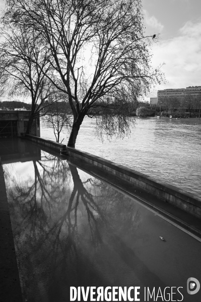 La Seine en crue.