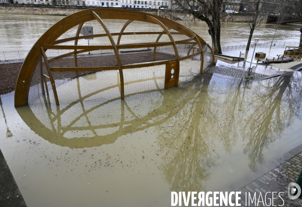 La Seine en crue.