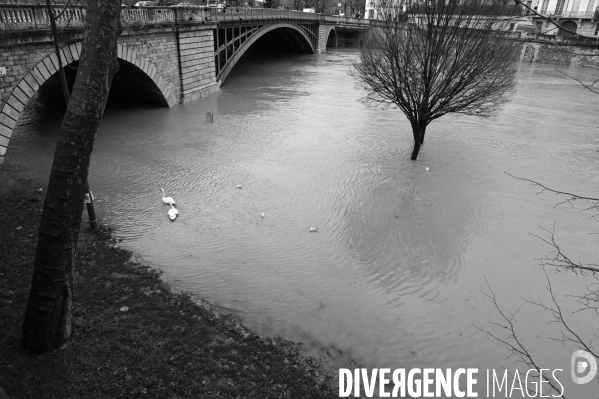 La Seine en crue.