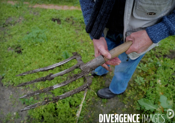 Les jardins ouvriers d aubervilliers