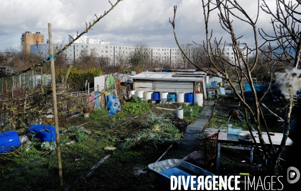 Les jardins ouvriers d aubervilliers