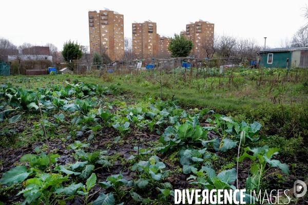 Les jardins ouvriers d aubervilliers