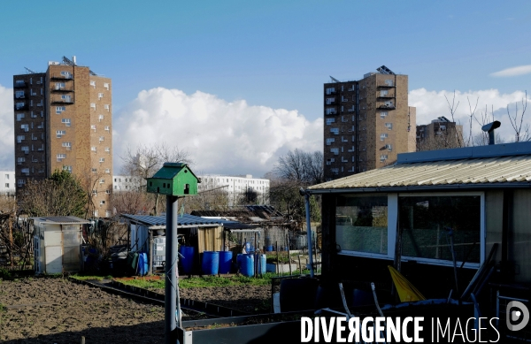 Les jardins ouvriers d aubervilliers