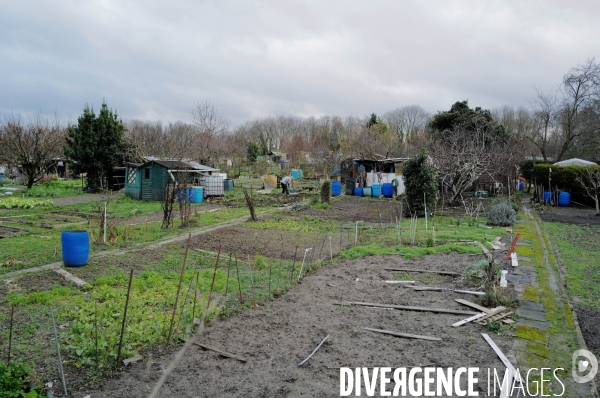 Les jardins ouvriers d aubervilliers