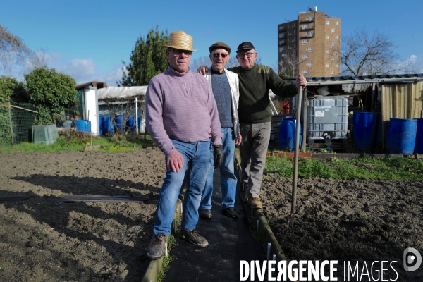 Les jardins ouvriers d aubervilliers