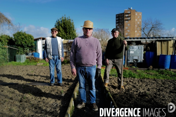 Les jardins ouvriers d aubervilliers