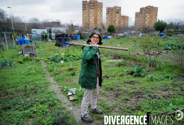 Les jardins ouvriers d aubervilliers