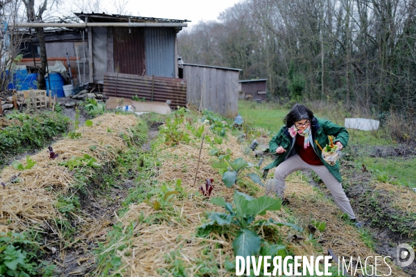 Les jardins ouvriers d aubervilliers