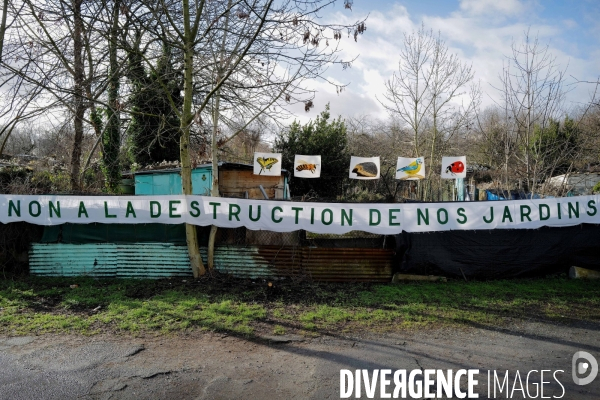 Les jardins ouvriers d aubervilliers