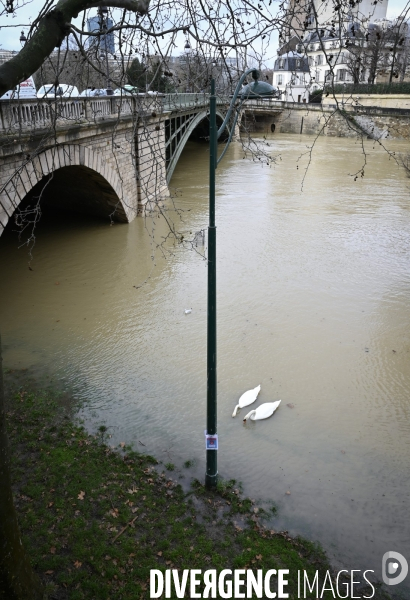 La Seine en crue.