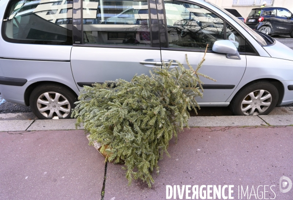 POINT RECYCLAGE DE SAPINS jetés après les fêtes à Paris.