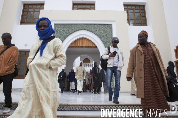 Institut MOHAMMED VI au Maroc de formation des imams