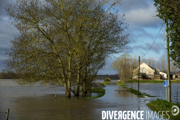 Les inondations de la Loire en Anjou