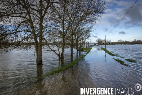 Les inondations de la Loire en Anjou