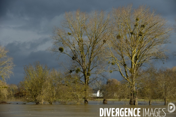 Les inondations de la Loire en Anjou