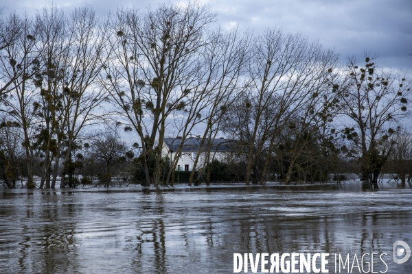 Les inondations de la Loire en Anjou