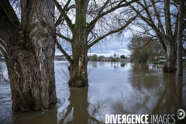 Les inondations de la Loire en Anjou