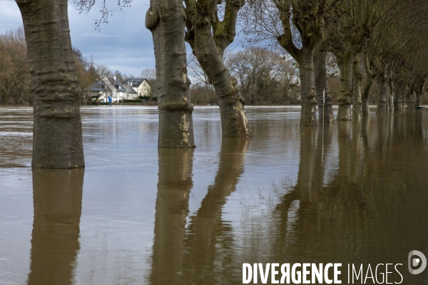 Les inondations de la Loire en Anjou