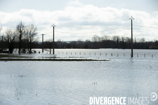 Les inondations de la Loire en Anjou