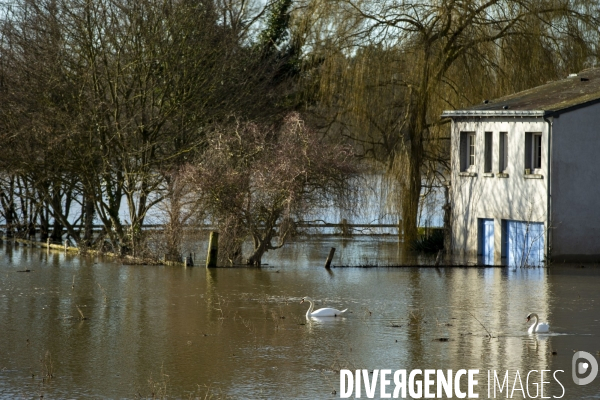 Les inondations de la Loire en Anjou