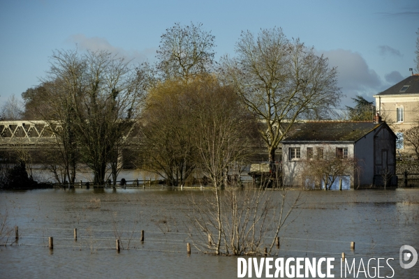 Les inondations de la Loire en Anjou